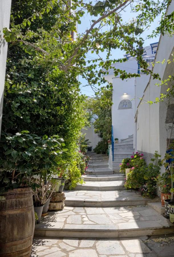 Βόλτα Καλλονή Studio Kalloni  エクステリア 写真